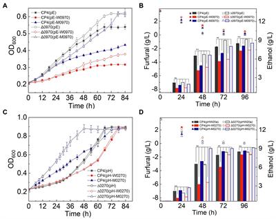 Functional Gene Identification and Corresponding Tolerant Mechanism of High Furfural-Tolerant Zymomonas mobilis Strain F211